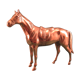 Animal statuette horse in solid brass