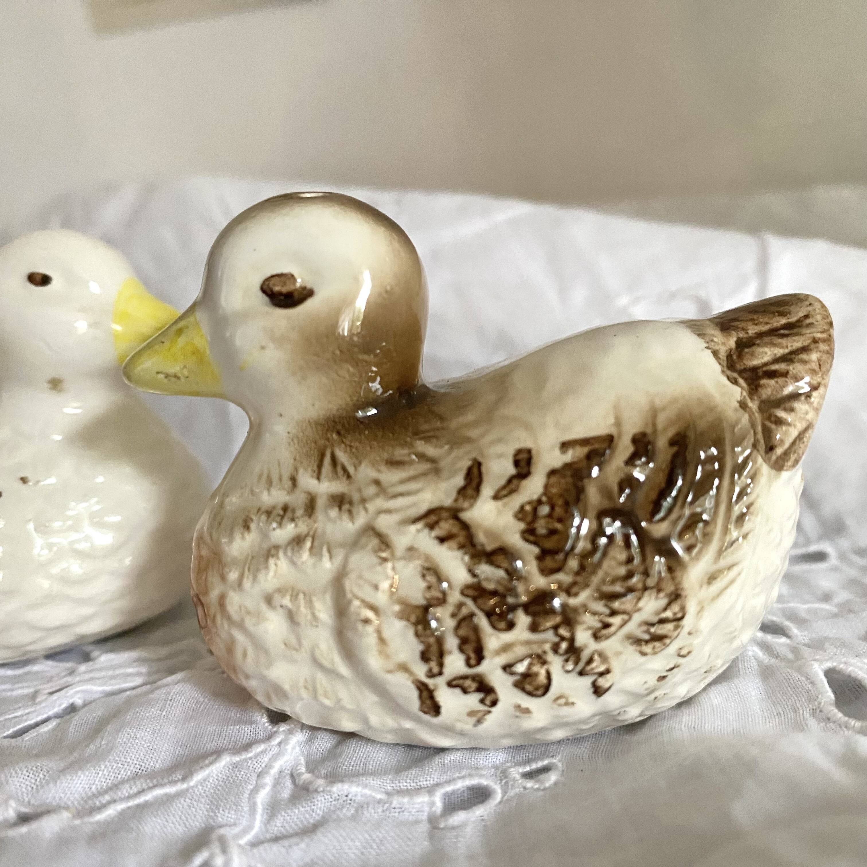 Duck barbotine salt and pepper shaker