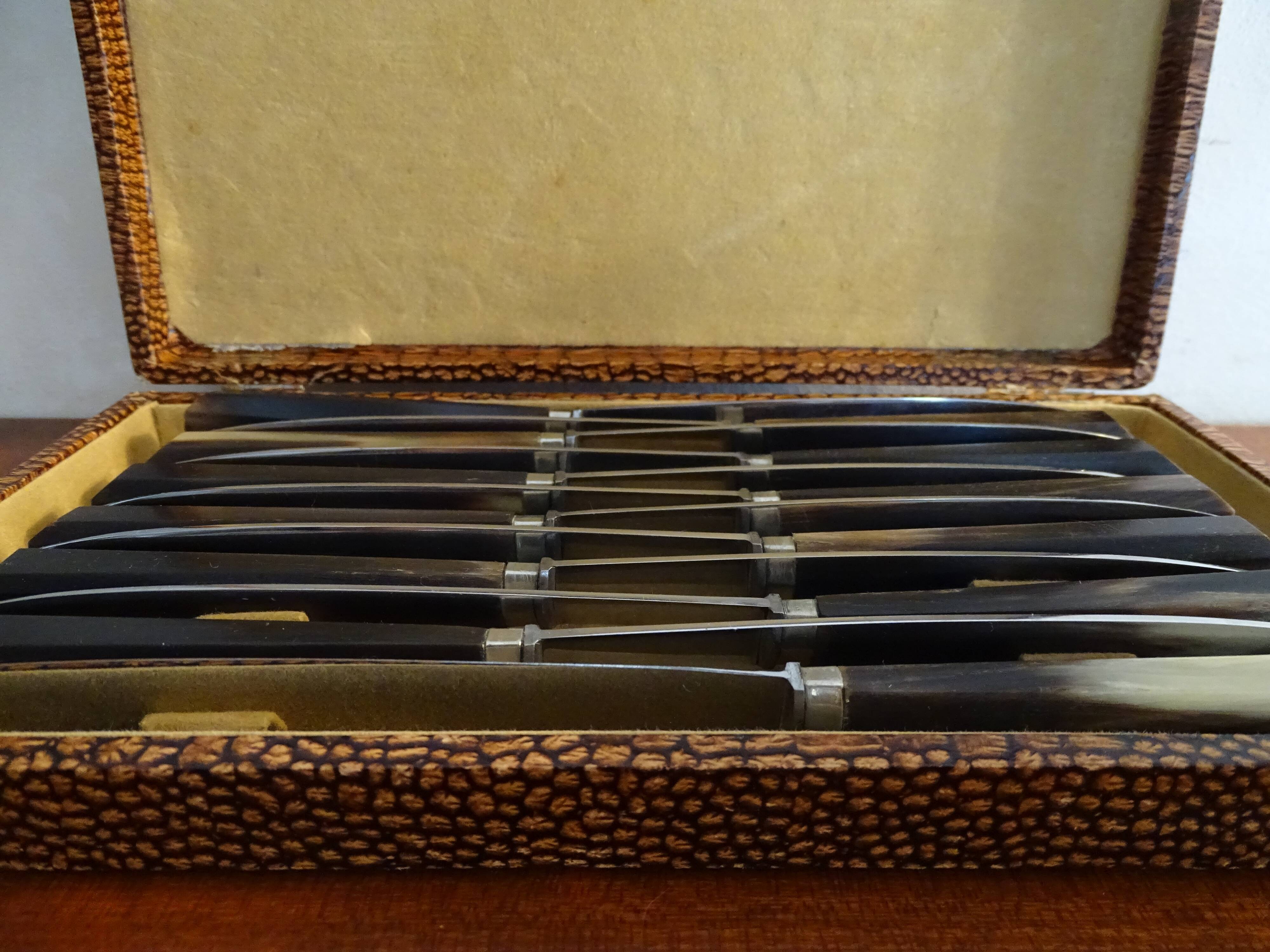 12 vintage dessert knives Pradel horn sleeves in case