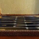 12 vintage dessert knives Pradel horn sleeves in case