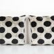 Pair of cushions
