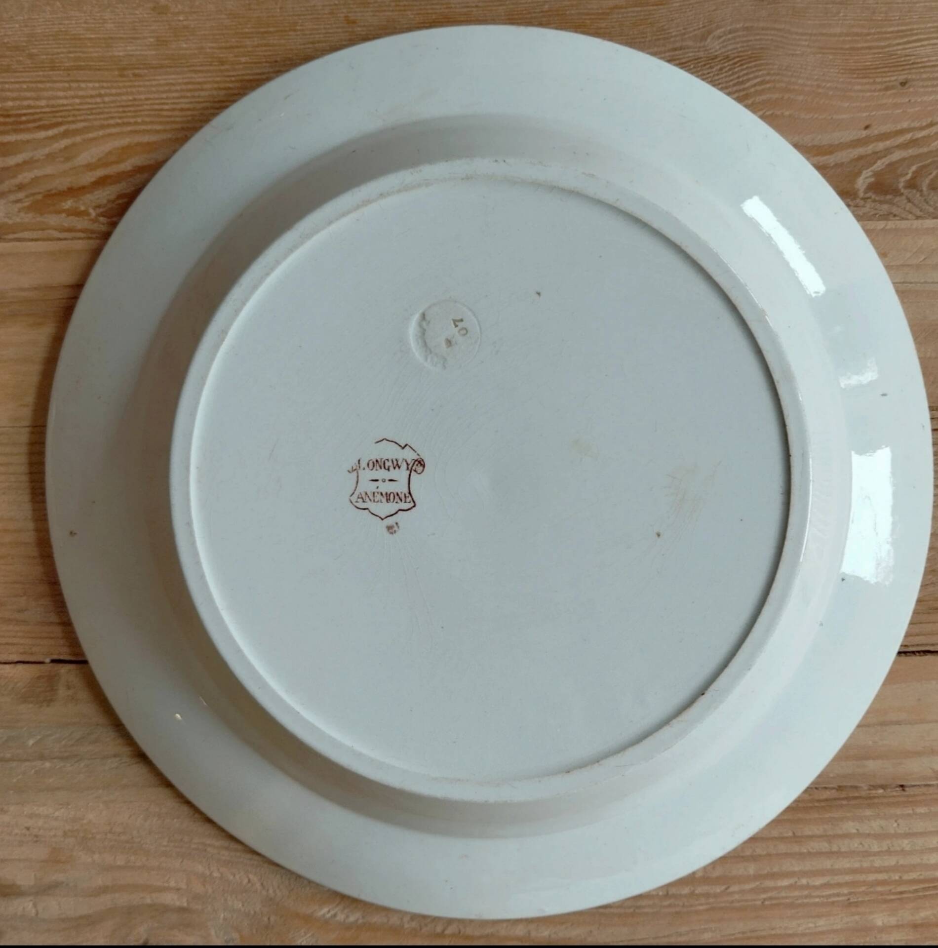 Set of 2 antique Longwy plates - Anemone model / Anemones