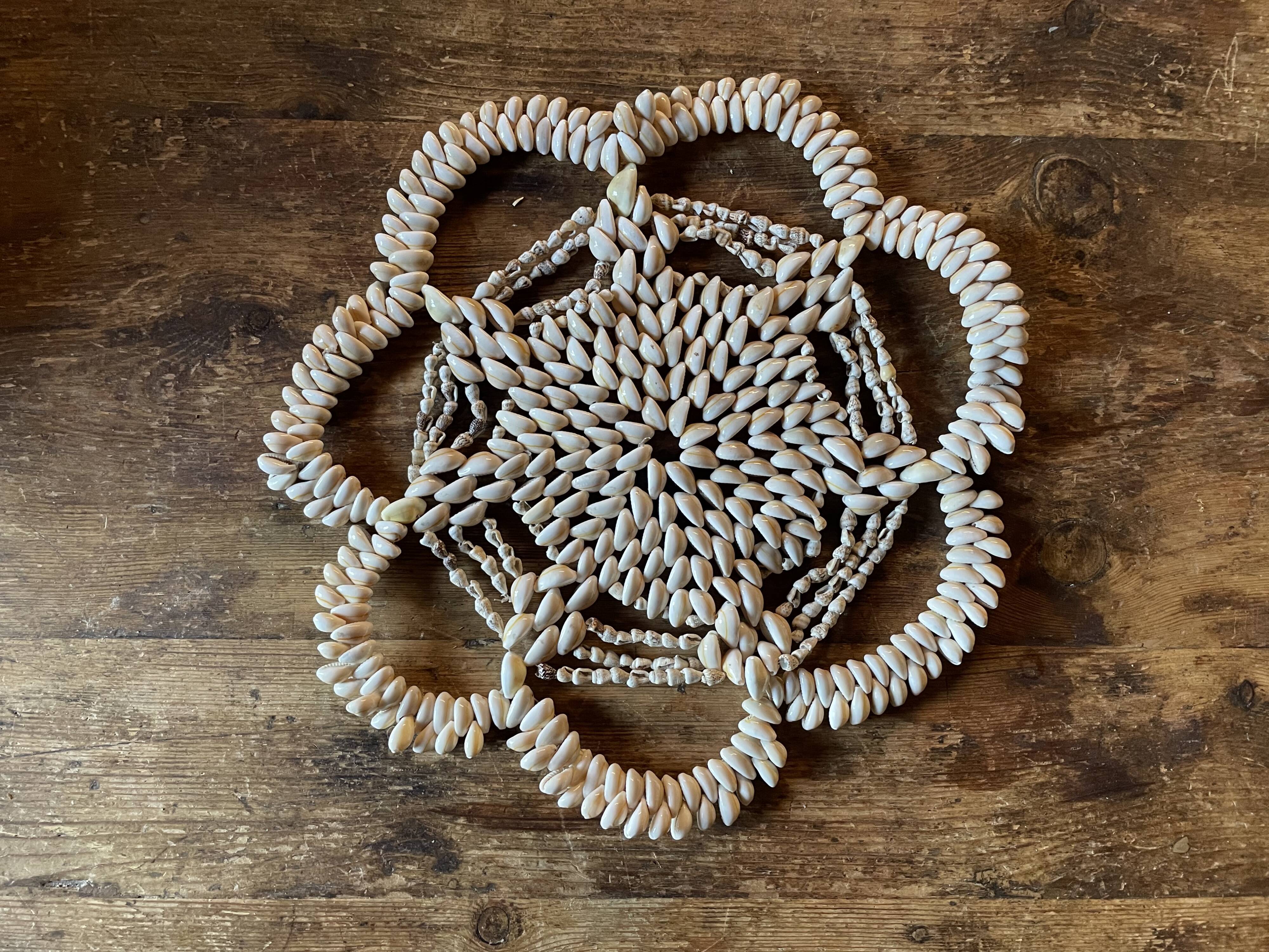 Vintage shell bottom