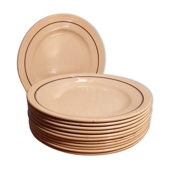 Suite of 12 flat plates St Amandinoise
