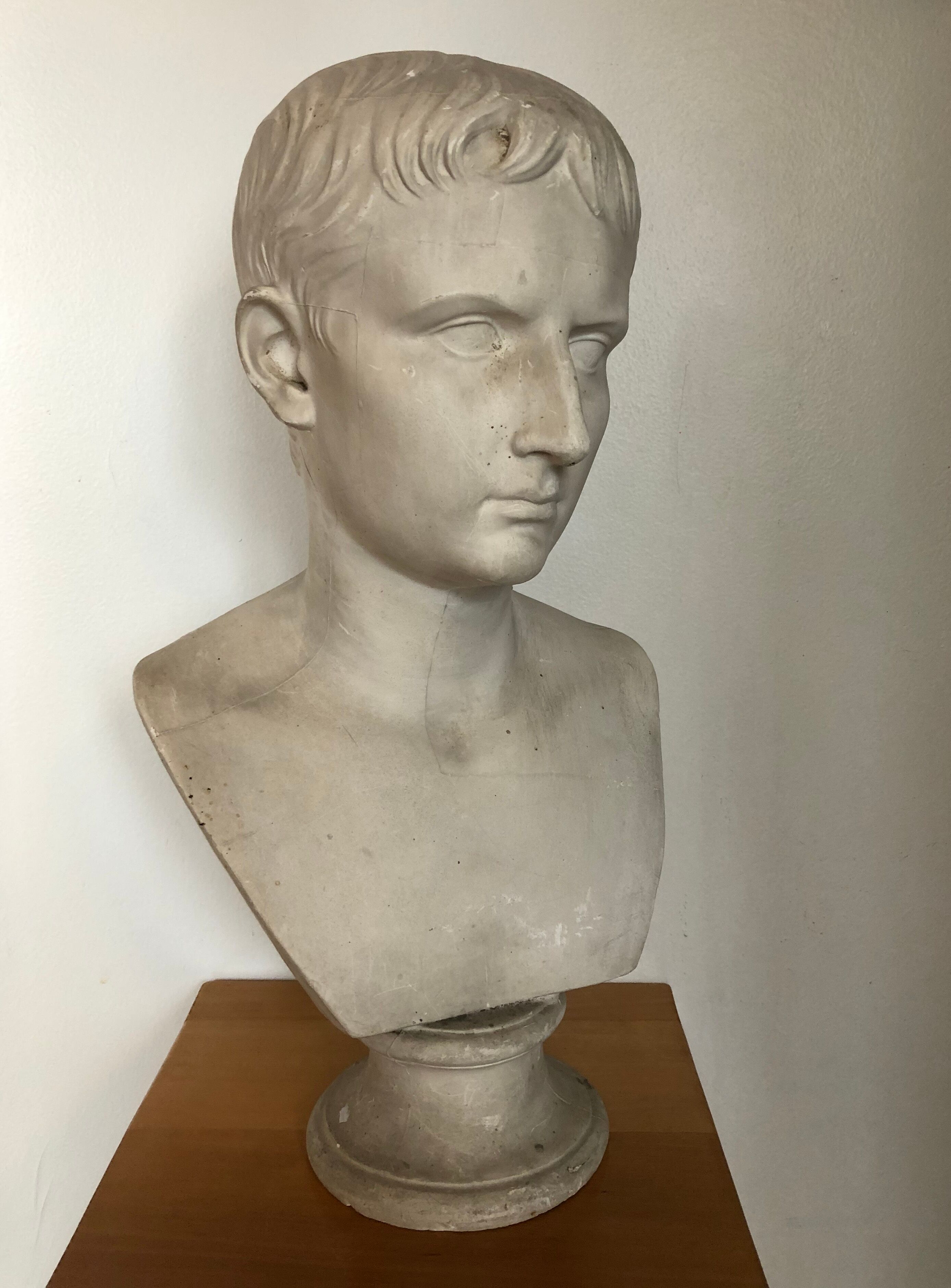 Bust of Bonaparte in plaster