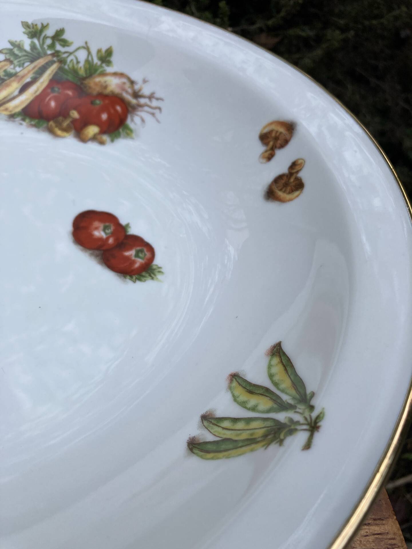 Plat maraîcher gravures botaniques d’antan