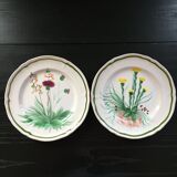 Provencal plate decoration yellow thistles