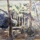 Despierre, Watercolor landscape undergrowth signed frame 20th century
