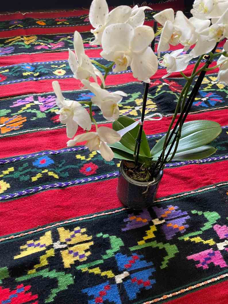 Romanian wool rug, red background with delicate colourful flowers