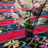 Tapis roumain en laine, fond rouge avec de délicates fleurs colorées