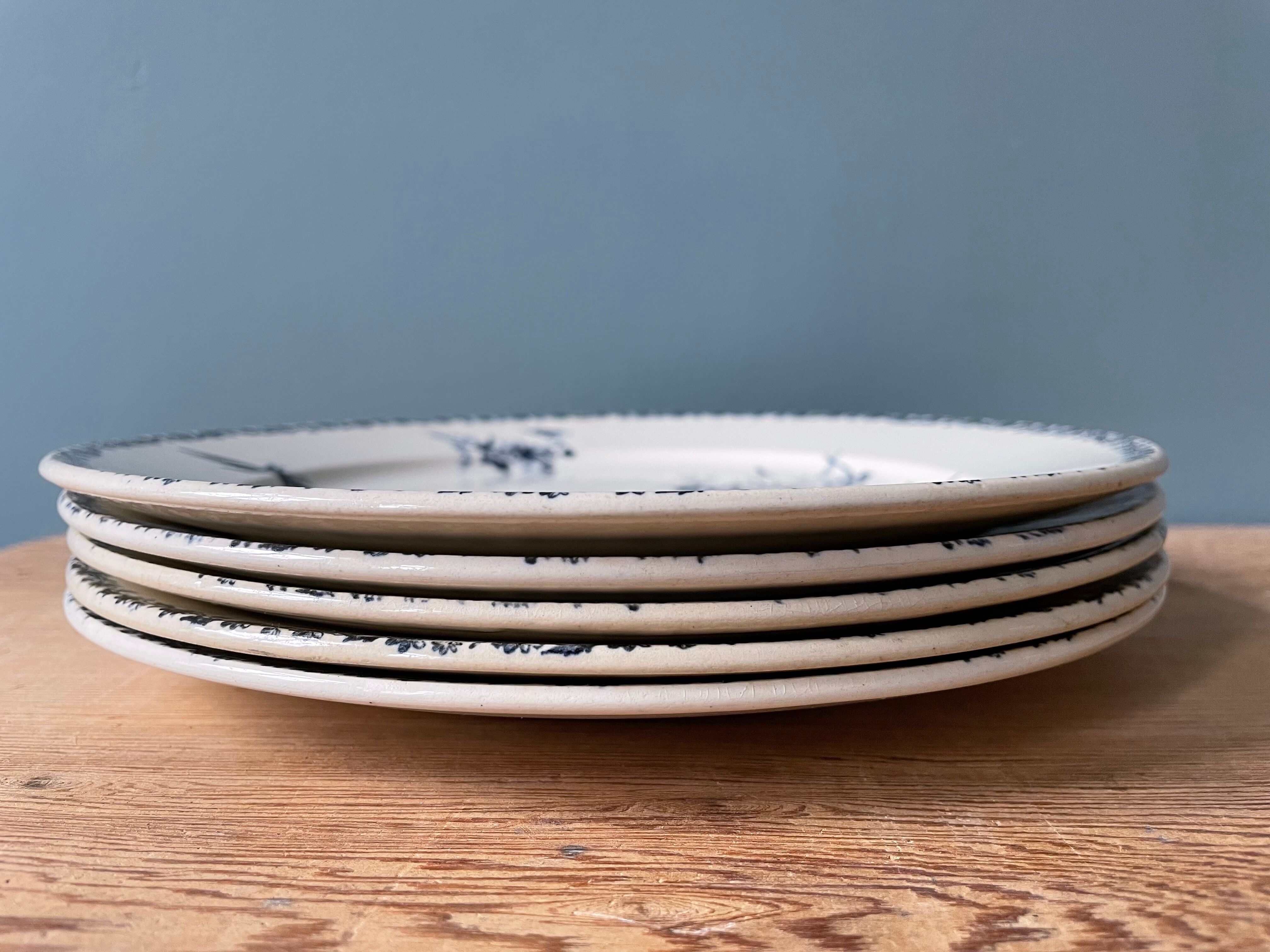 Series of 5 flat plates Terre de Fer HB and Cie Choisy Le Roi