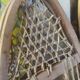 2 pairs of snowshoes from the far north, circa 1900
