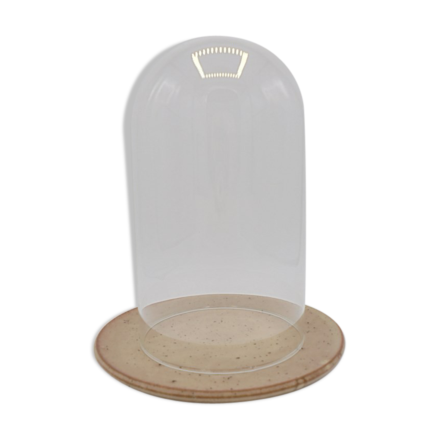 Cloche en verre sur assiette