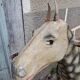 Wooden horse toy
