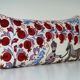 Cushion