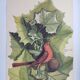 Old bird engraving - Flycatcher - Ornitology board by Seligmann & Catesby. 1973