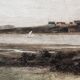 Colour lithograph, "The putting green" Golf, after Douglas Adams.