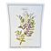 Botanical plate – Liquorice – Louis Pariente, 1986