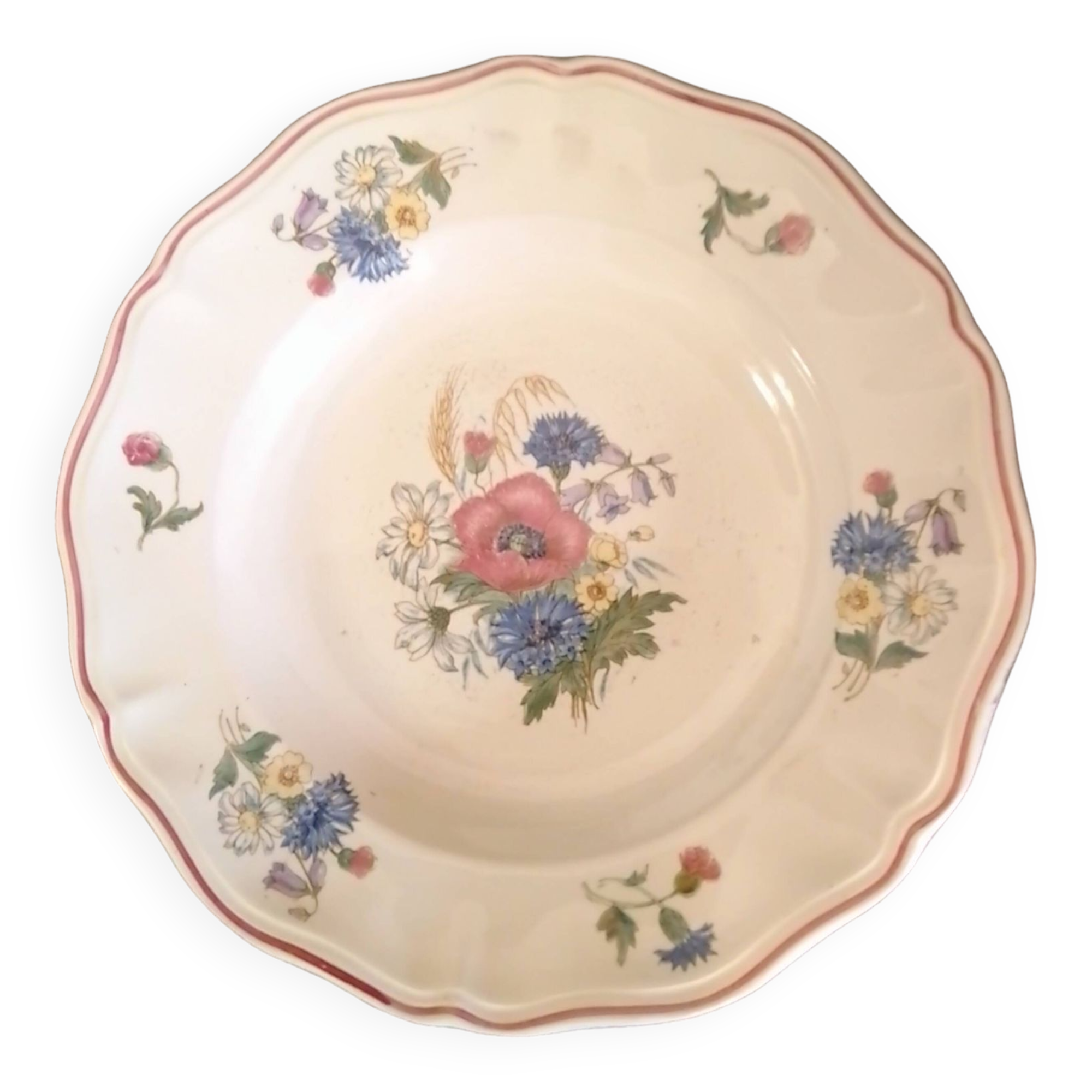 7 Assiettes Semi Creuses En Faïence De Sarreguemines Modèle Rouen Diam 24 Cm