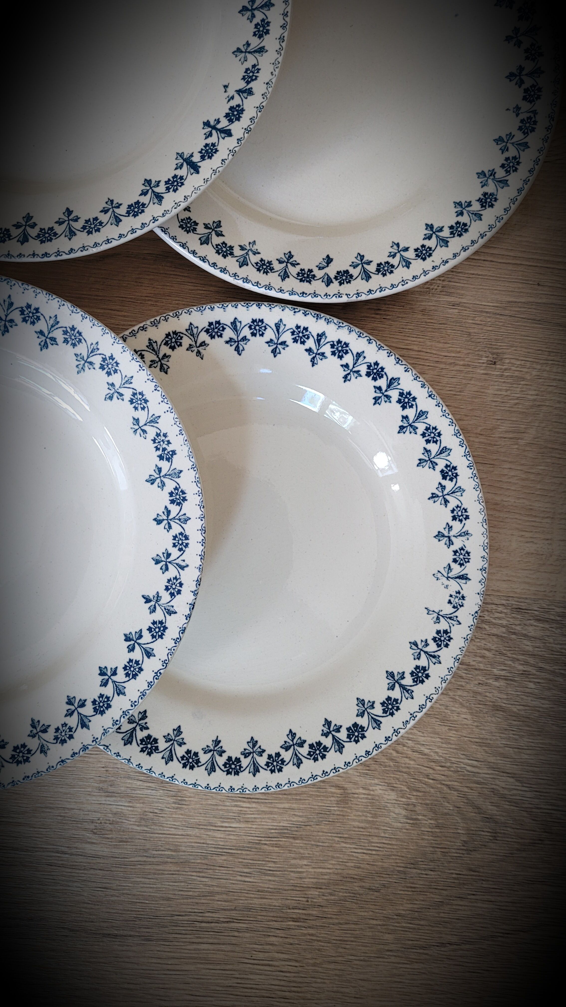 Set 6 plates Terre de Fer Barbeaux