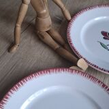 Set of 9 Badonviller flower dinner plates