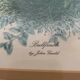 2 old John Gould illustrations
