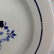 6 old blue flowers with stencil hollow plates