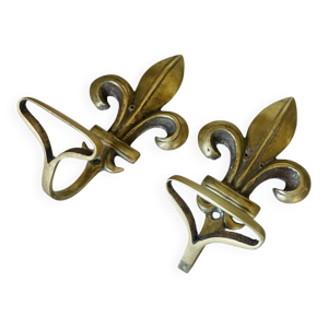 Paire d’anciennes patères - fleur lys