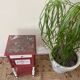 Vintage Lys Marble Wood Bedside Table