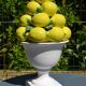 Centrepiece lemons/large fruit bowl in majolica