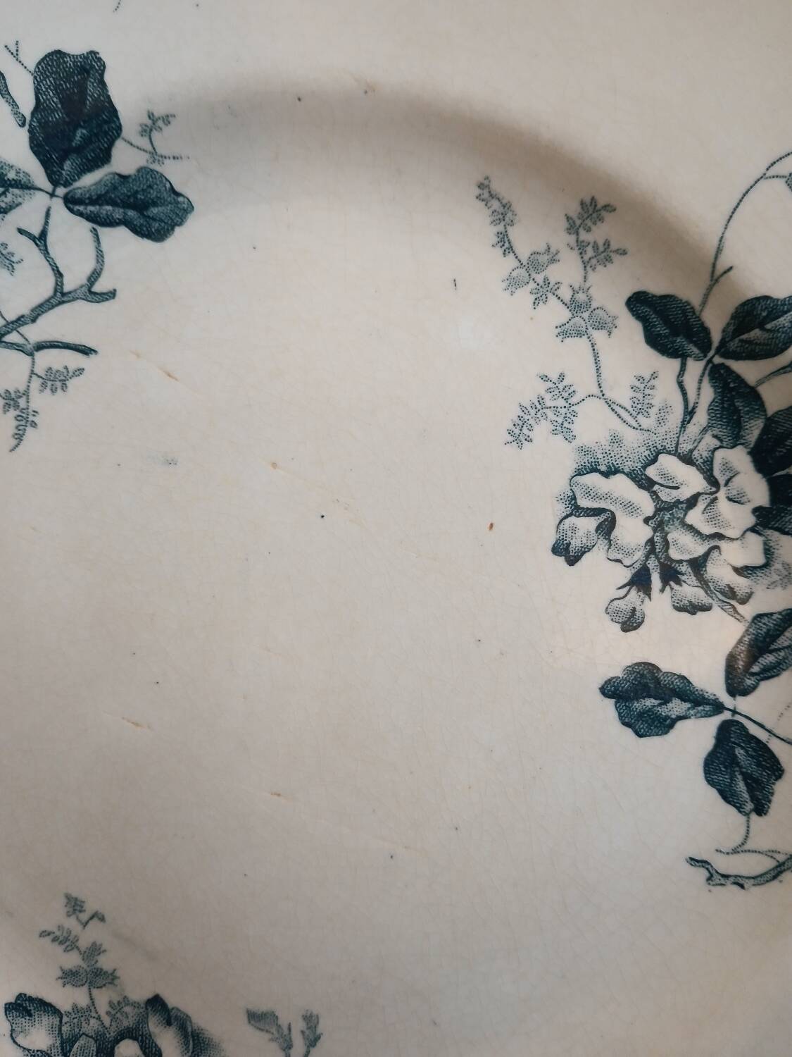 Set of 6 Terre de Fer plates, Acacia model