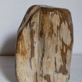 Free form sculpture in fossil wood