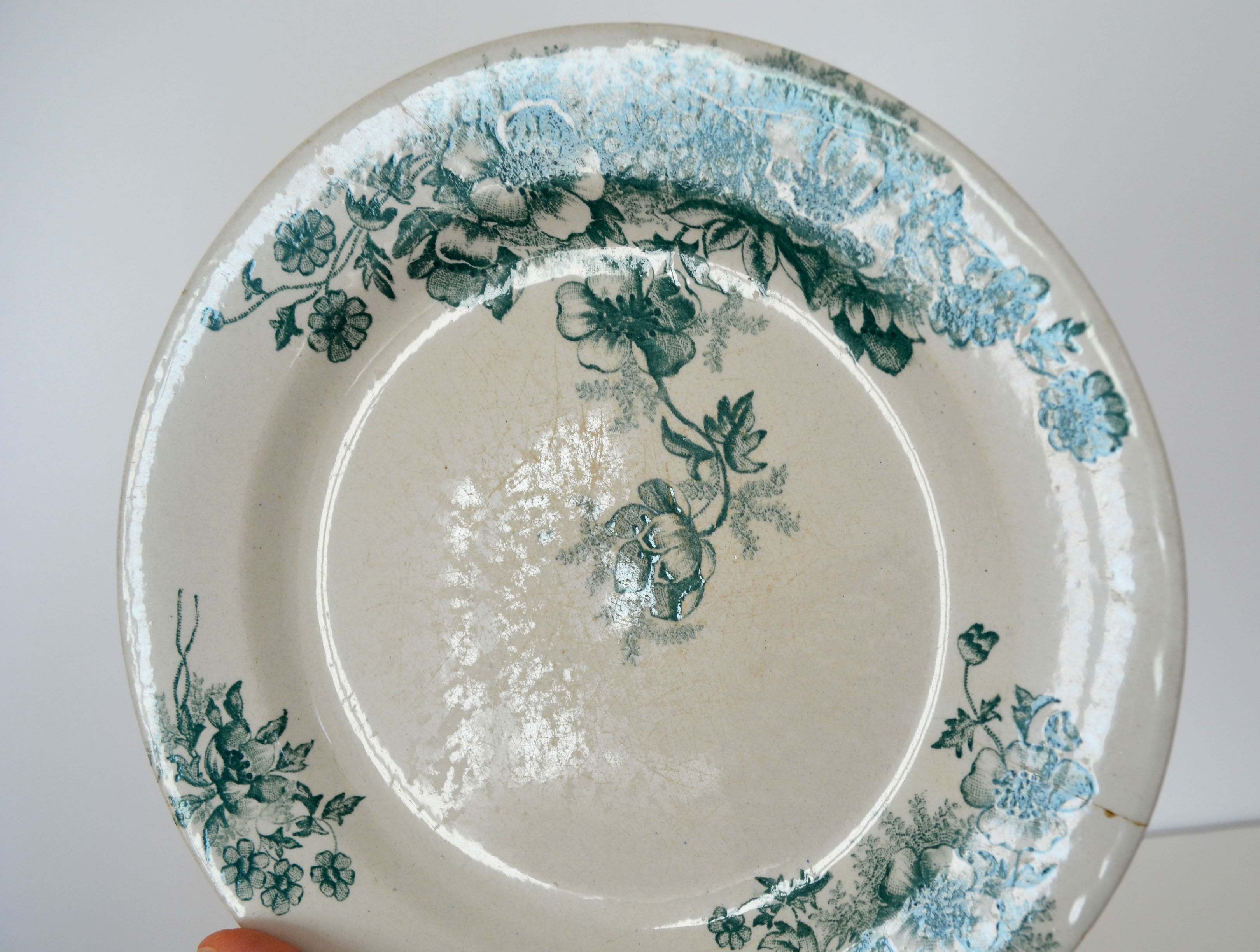 4 flat plates "Anemones" iron earth