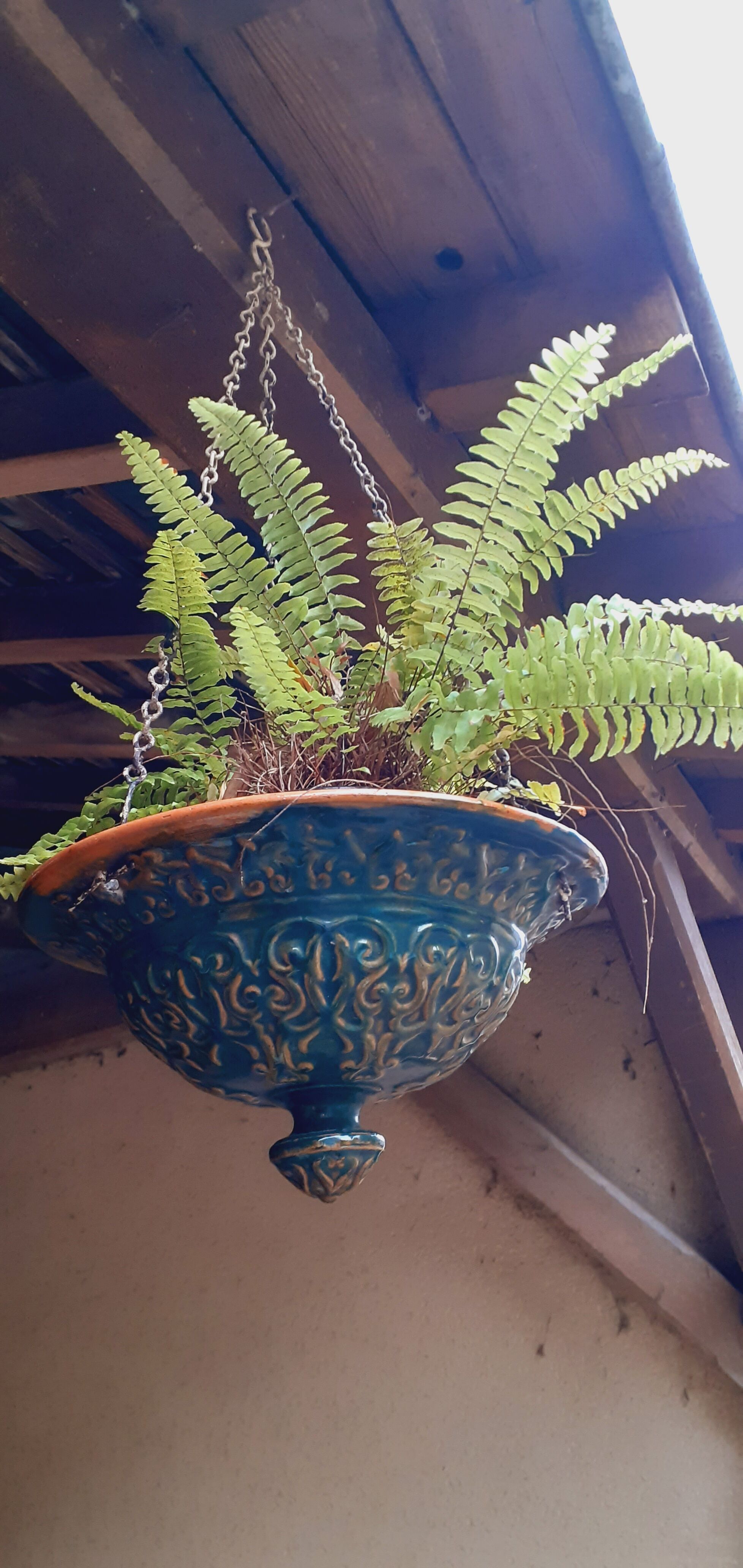 Hanging planter in glazed terracotta late nineteenth
