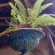 Hanging planter in glazed terracotta late nineteenth