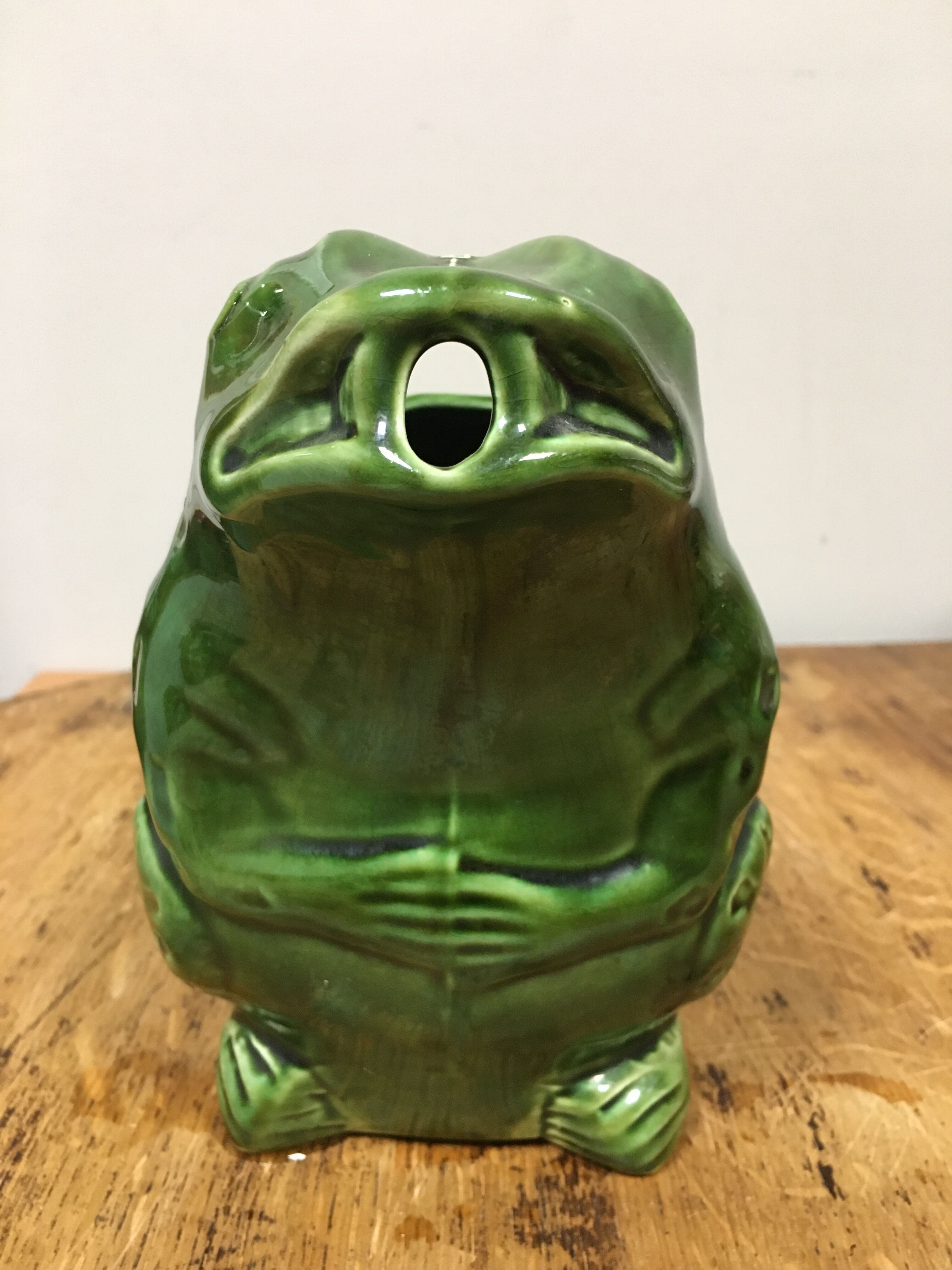 Pitcher frog the heir guyot