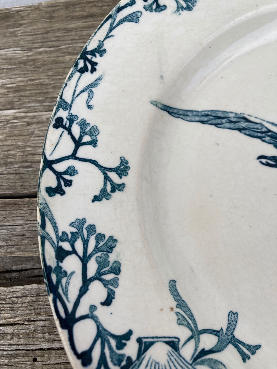 Iron earth plate Gien patterns seagulls and shell old mural