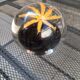 Sulfide-paper press made of glass, black & yellow, star décor.