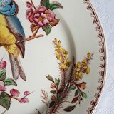 Pair of Luneville earthenware plates with bird decor