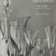 Saint-louis series of 6 crystal champagne flutes cut cerdagne