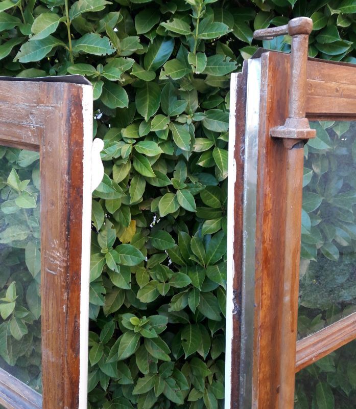 Glass window h141xl263 in oak 4 leaves