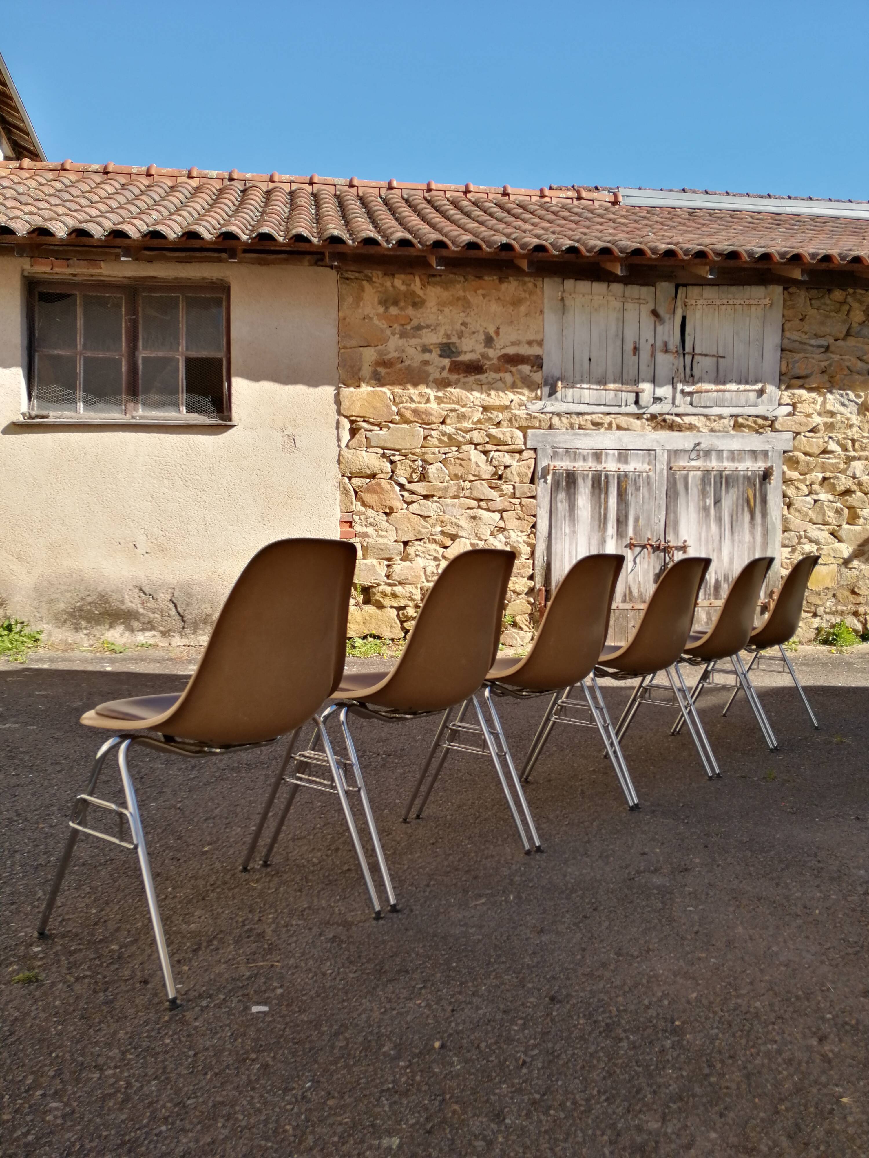 Lot de 6 chaises DSS Charles & Ray Eames pour Herman Miller Edition Vitra