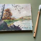 Oil on canvas by the pond signed P.Cario