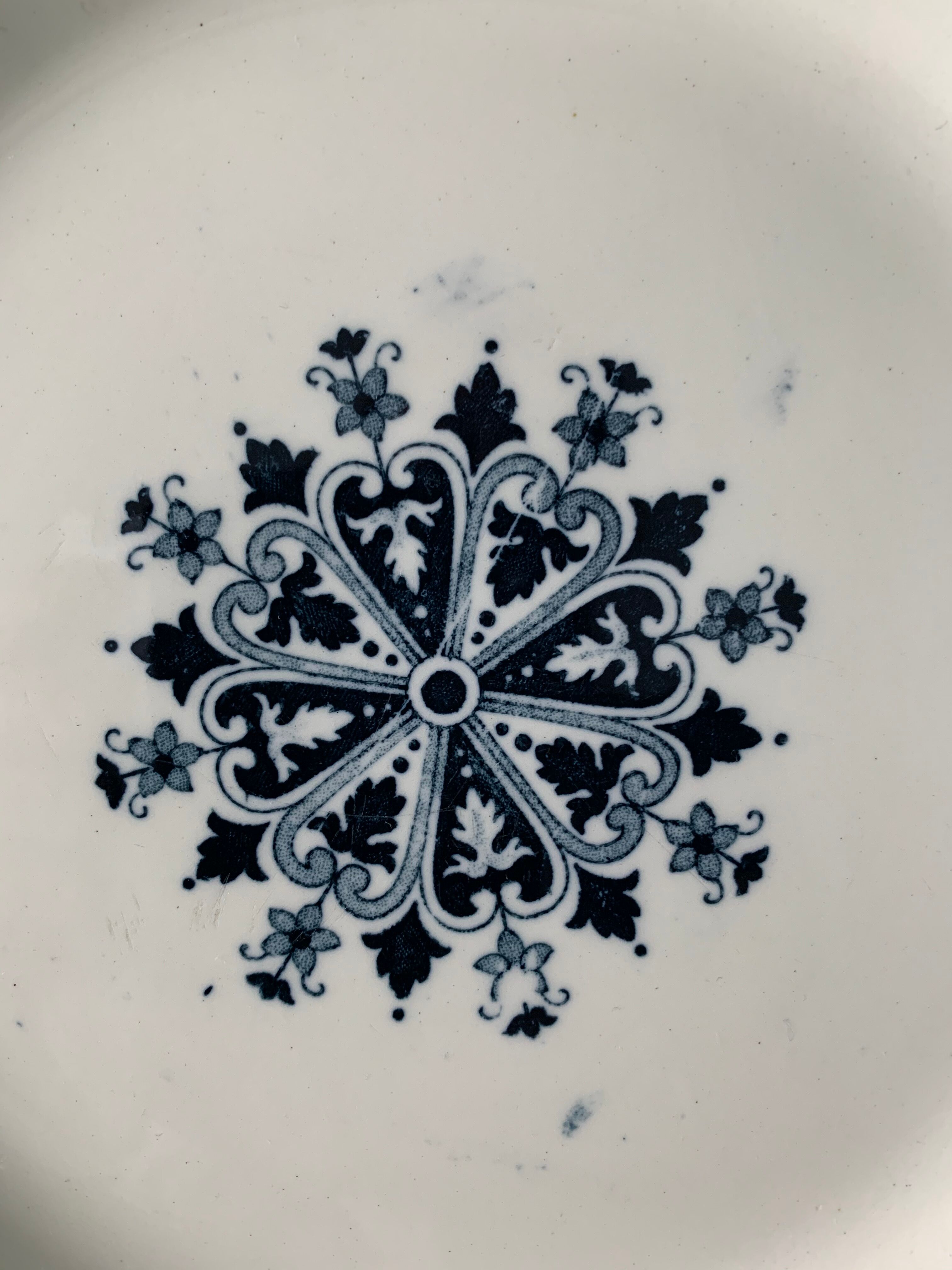 Lot of 12 old flat plates and 2 dishes, Terre de fer Henri II Salins