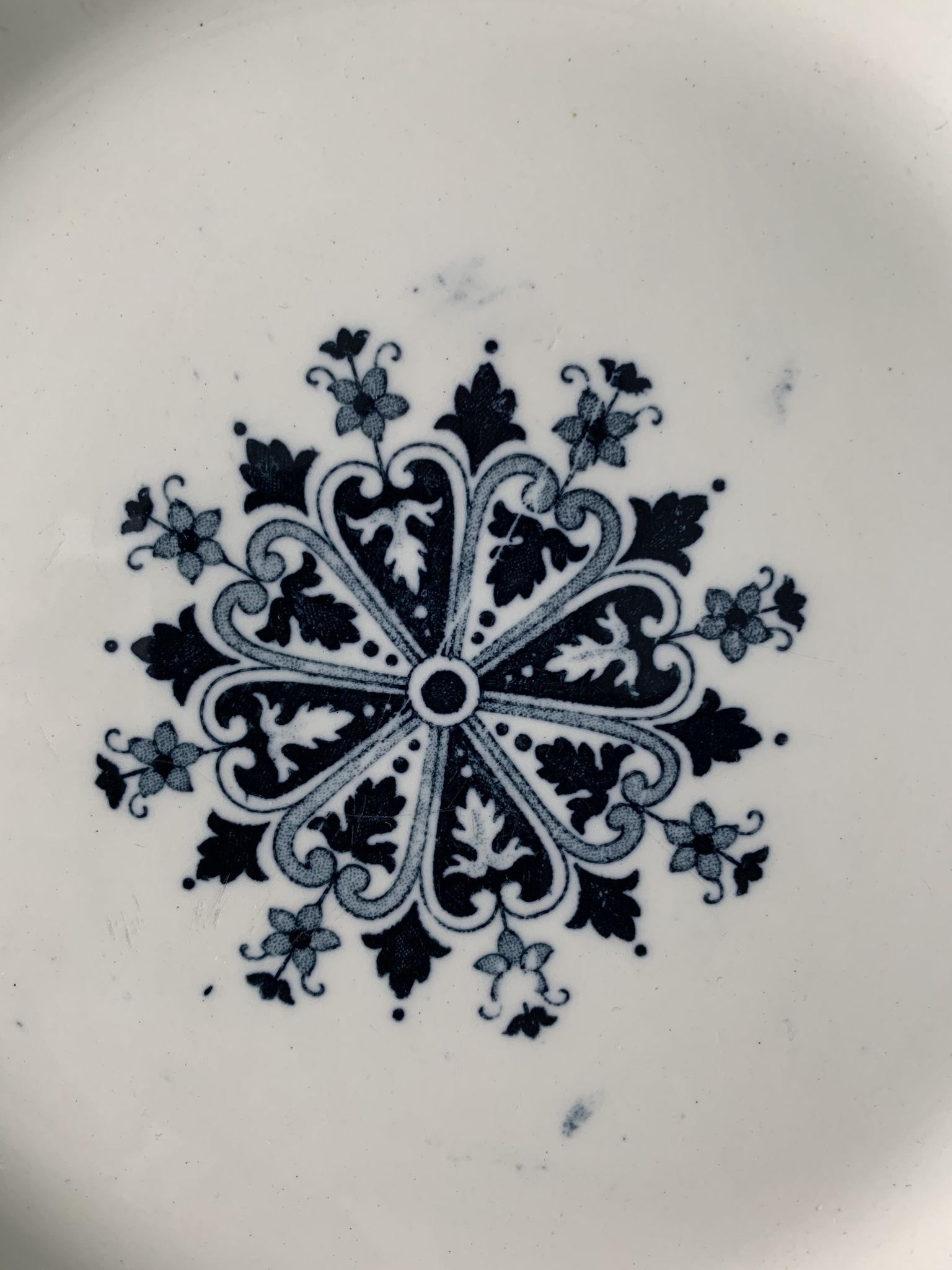 Lot of 12 old flat plates and 2 dishes, Terre de fer Henri II Salins