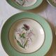 Set of 6 hollow plates Orchies Moulins des Loups