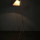 Josef Hurka Giraffe Brass Floor Lamp for Napako, Czechoslovakia, 1960s
