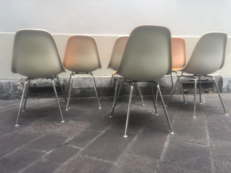 Suite of 6 chairs Dsx Charles and Ray Eames edition Herman Miller 1960