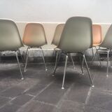 Suite of 6 chairs Dsx Charles and Ray Eames edition Herman Miller 1960