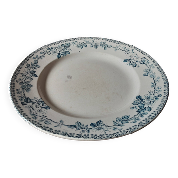 Terre de fer plate